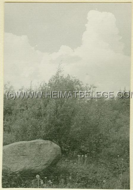 003_4 vanha valokuvaus Picksamaki 7681k.jpg